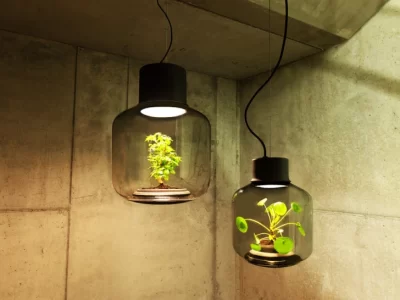 luz invisível para plantas
