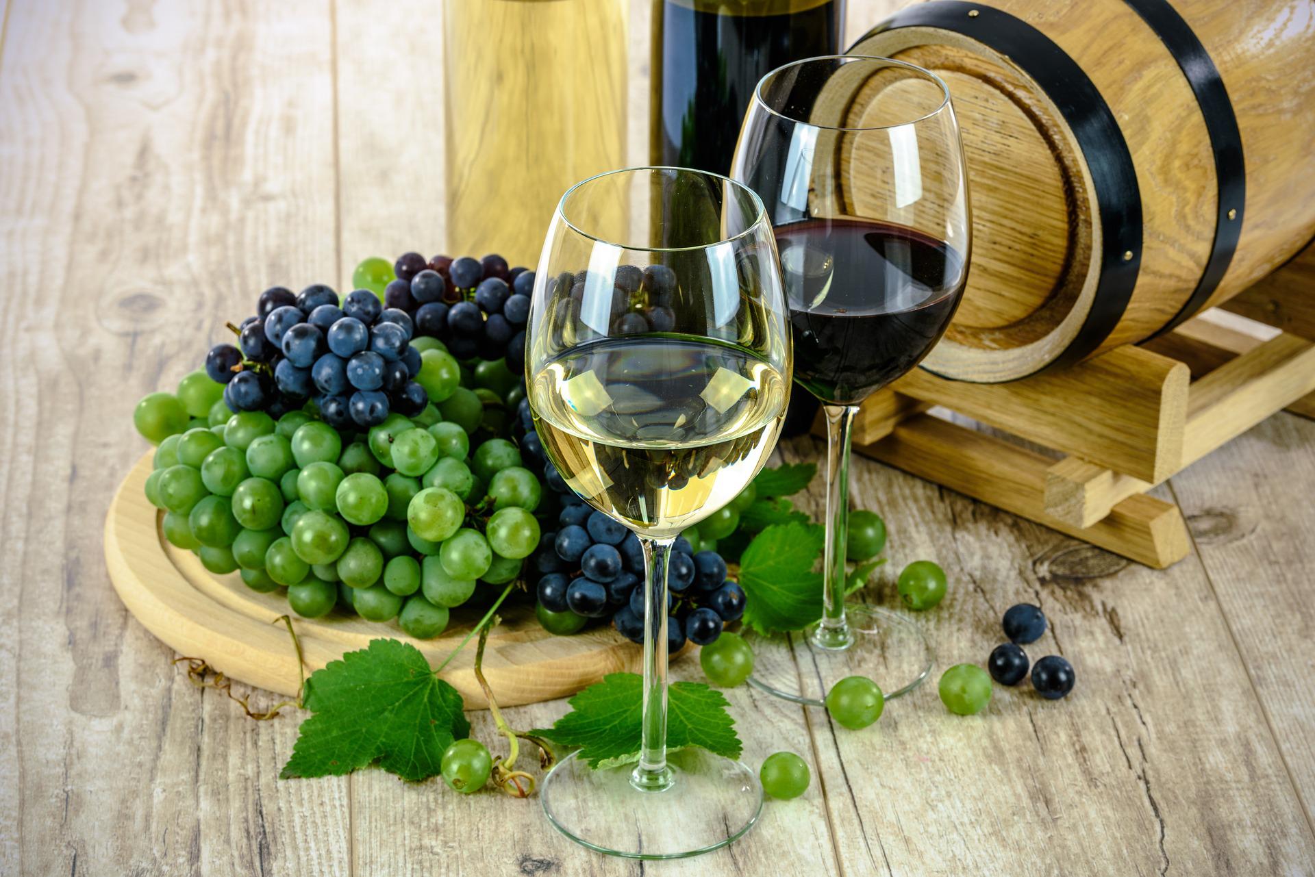 degustar vinhos