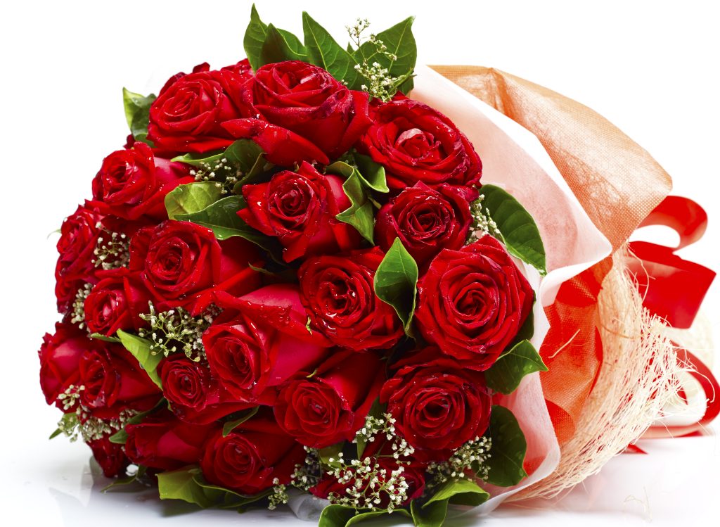 floricultura goiania
