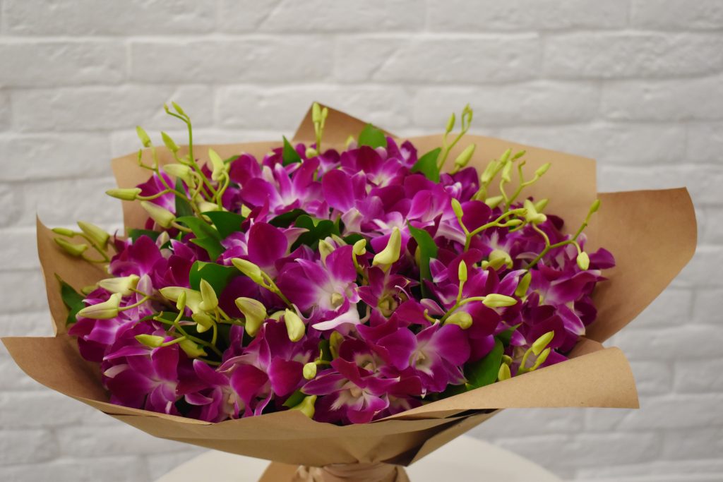 floricultura goiania