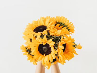 floricultura goiania
