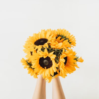 floricultura goiania